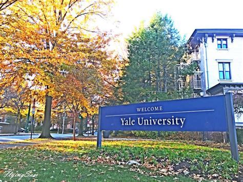 10 Yale Private Facts Revealed