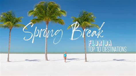 12+ Uf Spring Break Secrets For An Epic Vacation