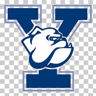 12 Yale Bulldogs Baseball Strategies To Win