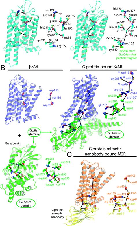 Buried Tmi Networks Are Unique To Gpcr Structures Activated By