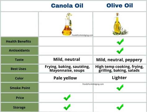 Canola Oil Vs Olive Oil Comparison Food Storage Choices And Alternatives