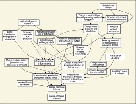 Causal Inference In Disease Ecology Investigating Ecological Drivers