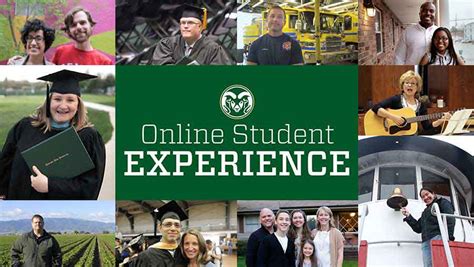 Colorado State University Online Degrees