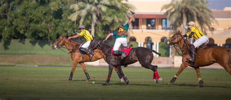 Dubai Polo And Equestrian Club Location Contact Amp More Mybayut