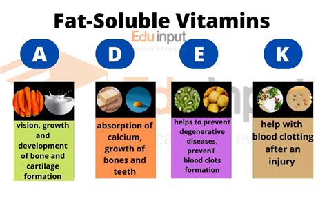 Fat Soluable Vitamins: Enhance Brain