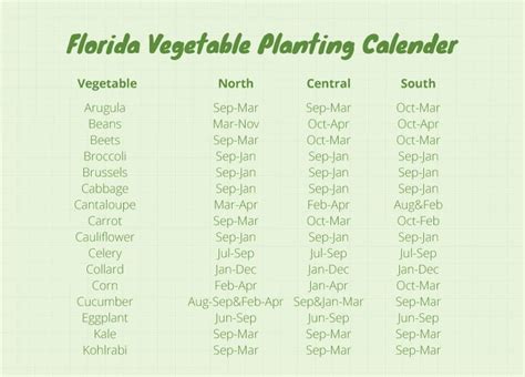 Florida Gardening Guide: Expert Tips Inside