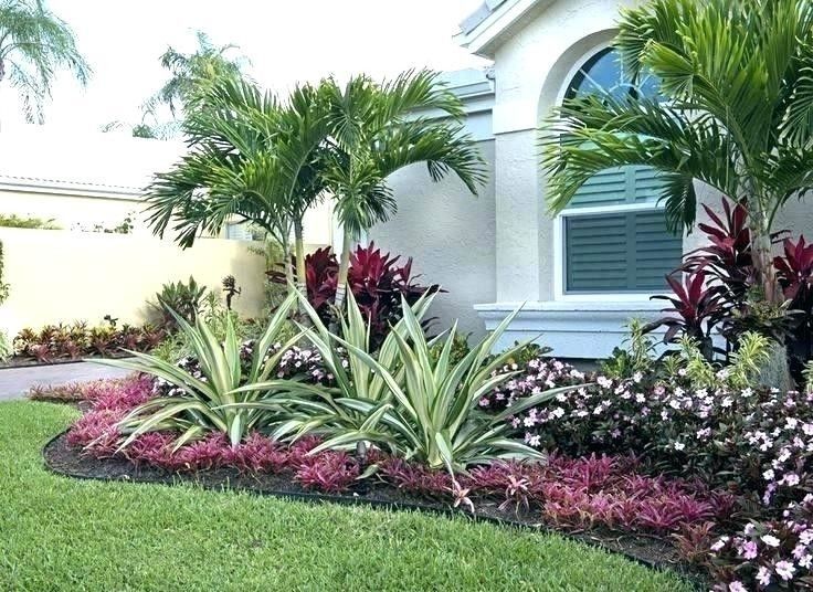 Florida Plants For Landscaping