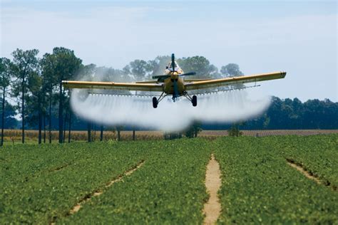 Georgia Farming: Mastering #1 Crop Production