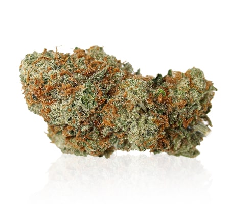 Headband Marijuana Strain Review