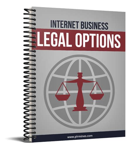 Internet Business Legal Options