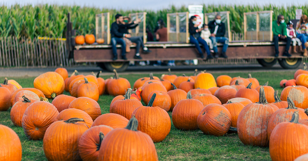 Just Spooky Season Stuff To Do Around Fort Collins Admissions