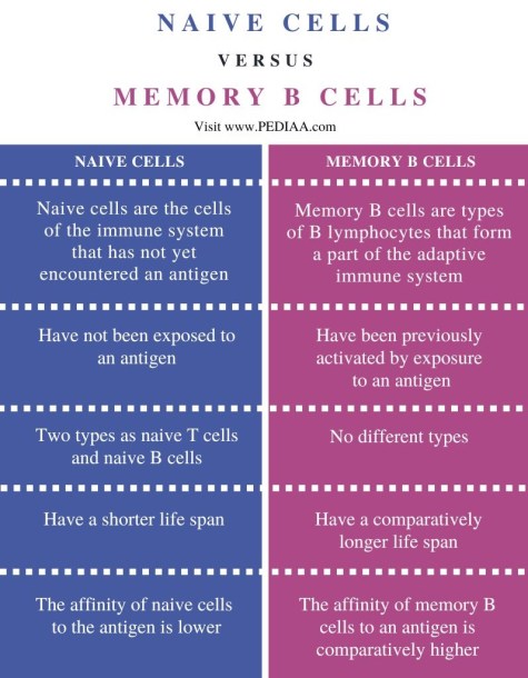 Naive Cells: Unlock Immune Memory