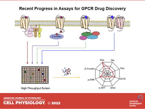 Nanobody's Function In Researching Gpcr