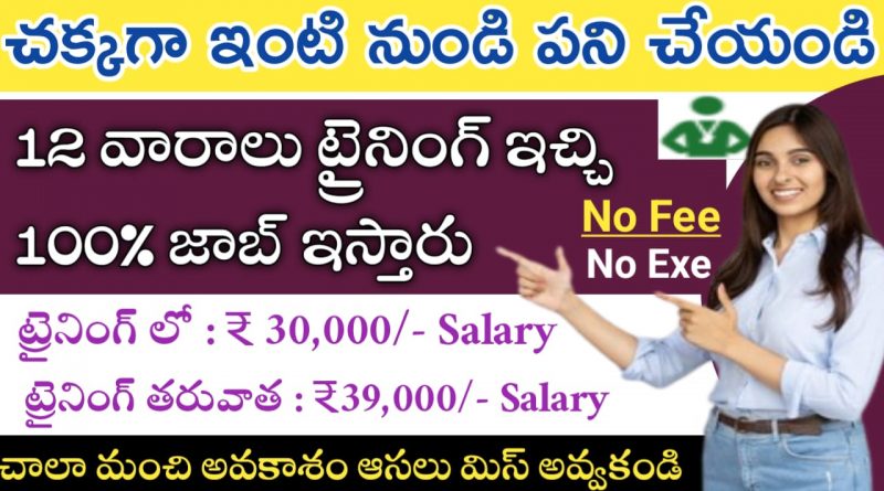 Omni Permanent Work From Home Jobs Telugu Jobs Apply Now Immediately