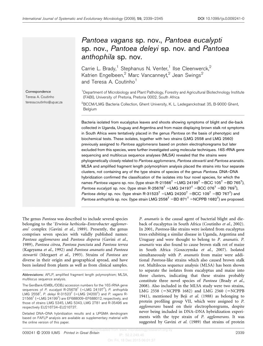 Pantoea Eucalypti Strain: Comprehensive Info Inside