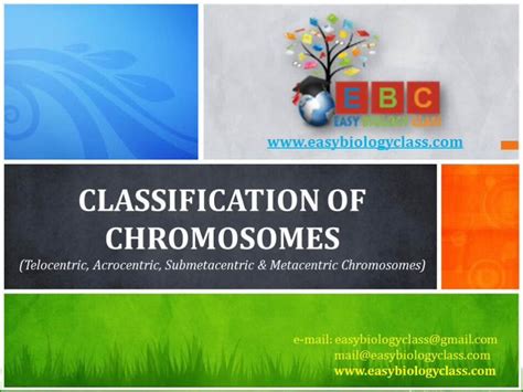 Pptx Classification Of Chromosomes Ppt By Easybiologyclass Dokumen Tips