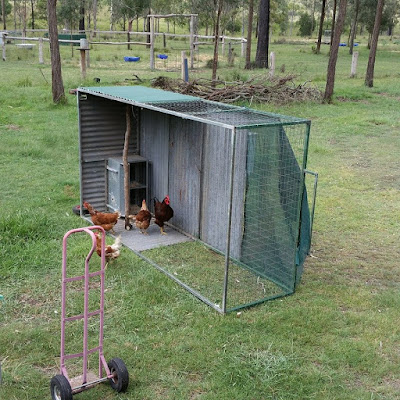 Predator Proof Chicken Tractor Ranchlasoo