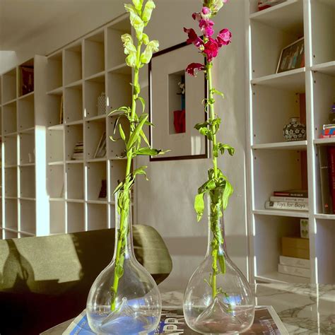 Single Flower Glass Vase Find Unique Glass Flower Holders