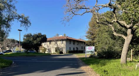 Stanford's Broccoli Forest: Discover Hidden Gems