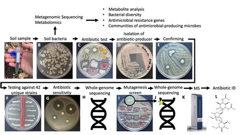 The Czyz Lab Guide: Expert Knowledge