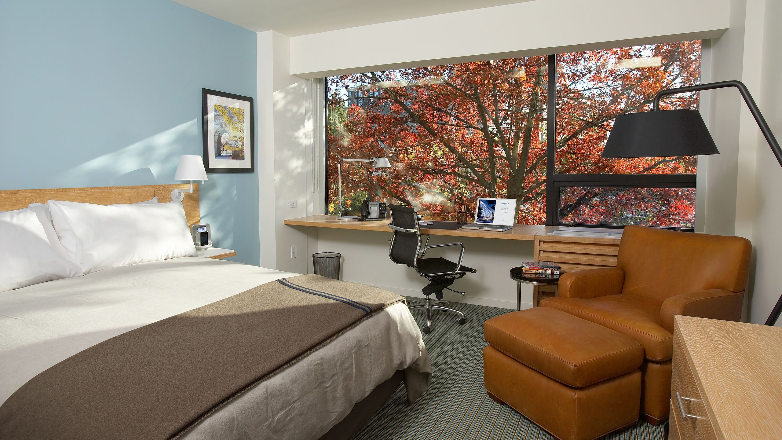 The Study At Yale Study Hotels New Haven The Best Offers With Destinia