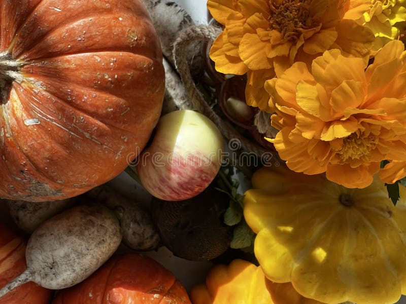 Tips For Harvesting Pumpkins Vegetables And Other Garden Produce