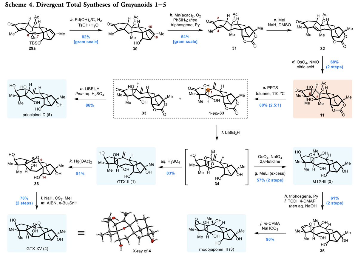 Total Synthesis On Twitter Amp Quot Divergent Synthetic Approach To Grayanane