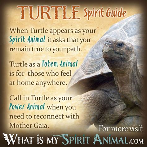 Turtle Spiritual Meaning Uncovered Totems Lore And Teachings