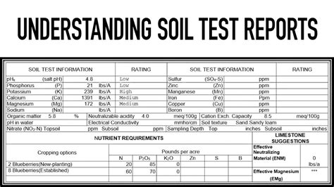 Uga Soil Testing Guide: Optimize Crop Yield