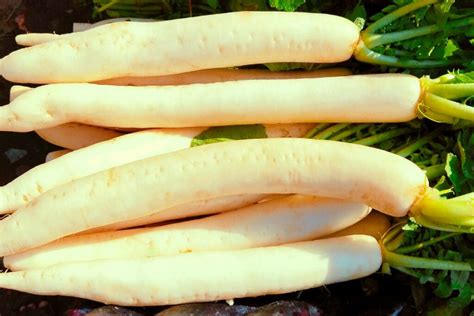 What Are Japanese Radish Seeds Benefits? Nutrition Facts