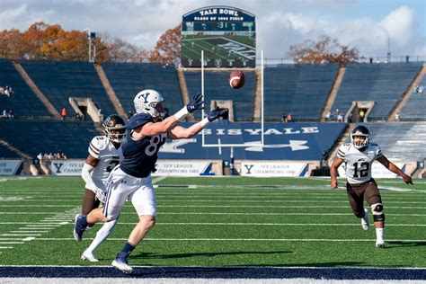 Yale Brown Game