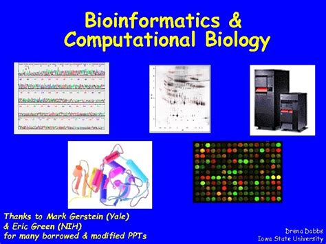 Yale Computational Biology