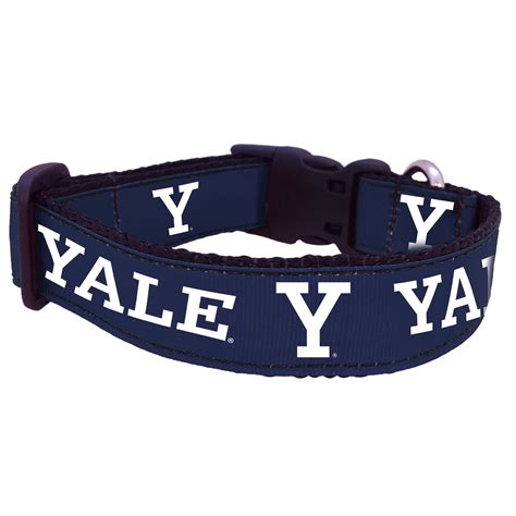 Yale Dog Collar