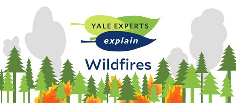 Yale Experts Explain Wildfires Yale Sustainability