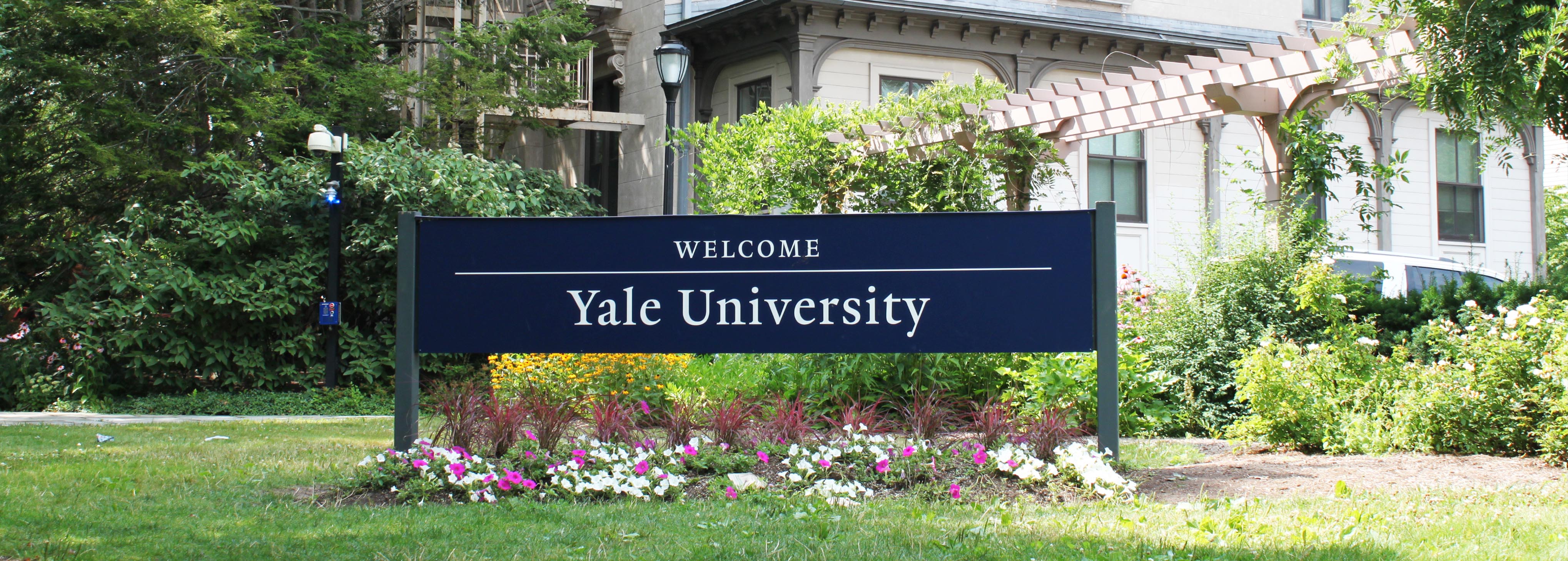 Yale University College Application Cases