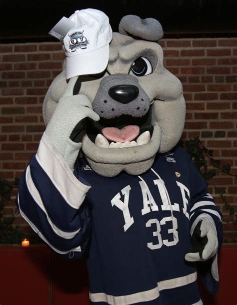 Yale University Mascot Guide