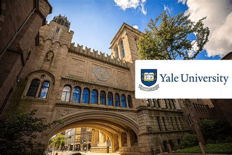 Yale University Phd: Expert Admission Guidance